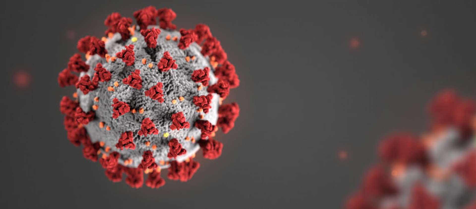 Image of Corona Virus Image of Corona Virus