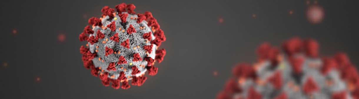 Image of Corona Virus Image of Corona Virus