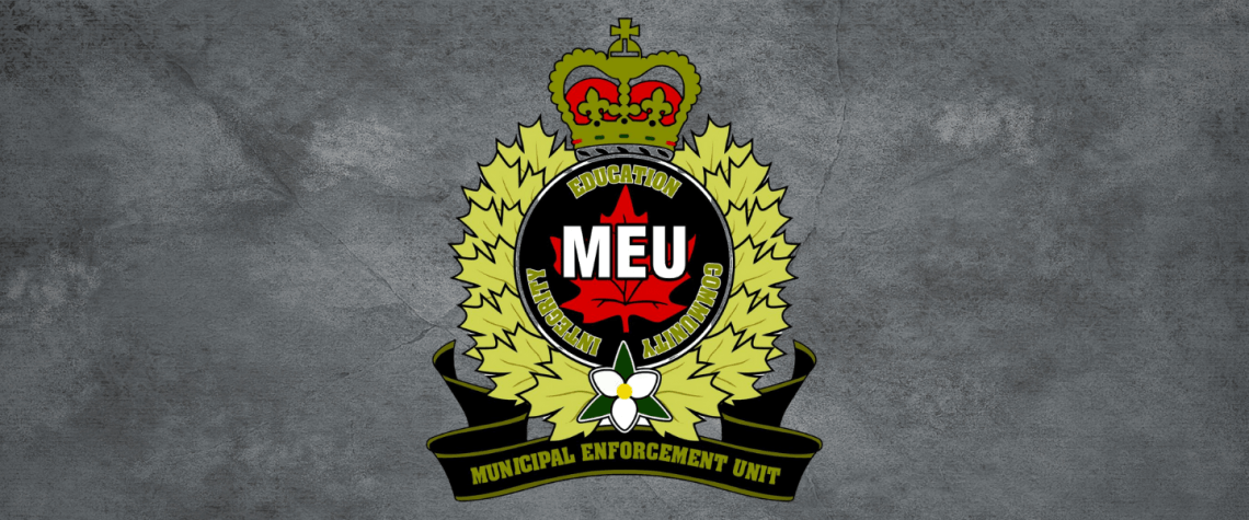 municipal enforcement unit logo