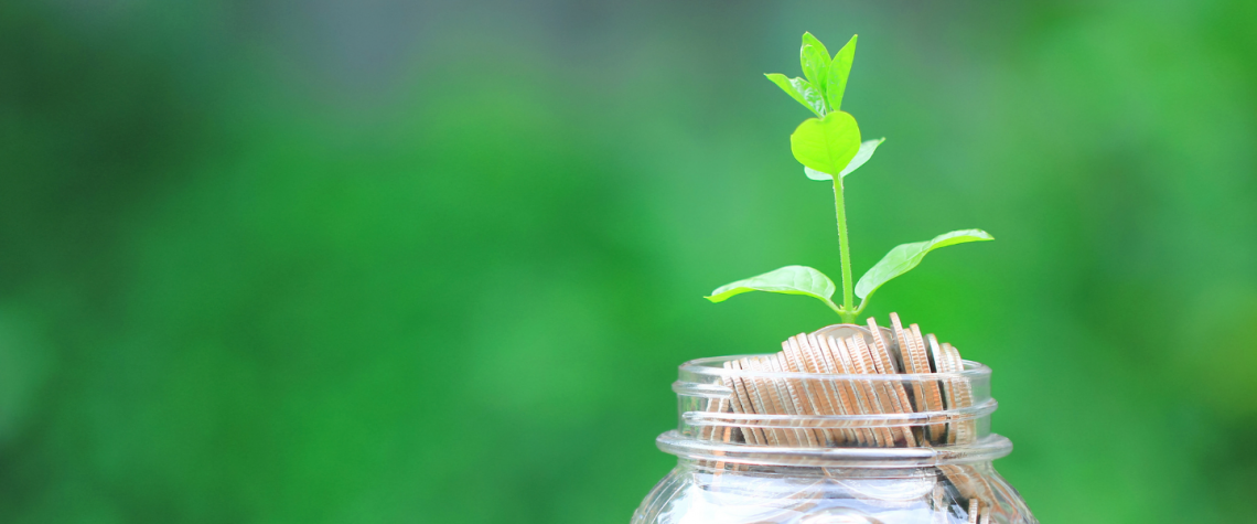 plant sitting in mason jar with money